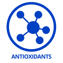 Antioxidant